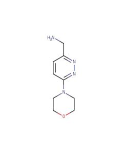 Astatech (6-MORPHOLINOPYRIDAZIN-3-YL)METHANAMINE; 1G; Purity 97%; MDL-MFCD09839460